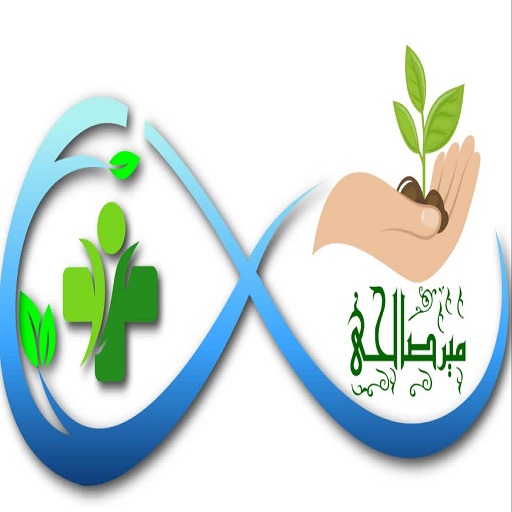 میرصالحی-شرکت سئو
